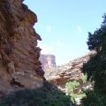 tn_Grand Canyon(7)